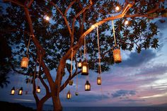 a tree with lanterns hanging from it's branches over the ocean at night time