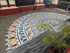 two people are standing in front of a colorful design on the ground next to a potted plant