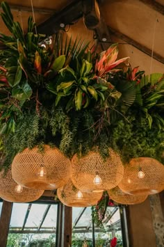 the hanging lights are decorated with plants and greenery