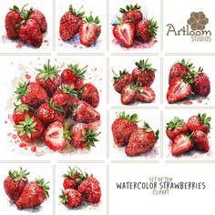 watercolor strawberries clipart set by atiloom studio on devielve