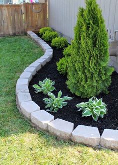 a small garden with green plants in the middle