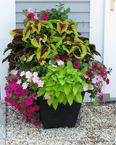 a potted planter filled with lots of different colored flowers next to a house