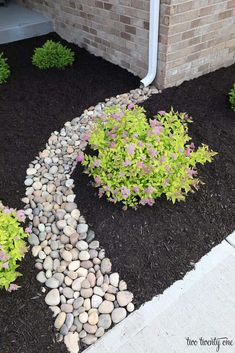 a garden with rocks and flowers in it