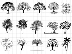 tree silhouettes are shown in black and white, each with different types of trees