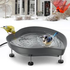 two birds are drinking from a bird bath