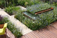 a garden with lots of flowers and plants growing on top of the wooden decking