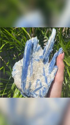 Beautiful blue Kyanite in Quartz is as stunning as it is powerful.

Kyanite correlates with your throat charka, the center of our communication. So this stone helps block out stressful feelings to allow your mind to think logically. 

#thehealinghedgewitch #metaphysicalshop #kyanitequartz #healingproperties #throatchakra #naturalhealer #holistichealing #crystalcleansing #naturalremiedies Blue Kyanite Crystal, Energy Meditation, Kyanite Crystal, Cleansing Crystals, Crystal Energy, Crystal Shapes, Blue Kyanite