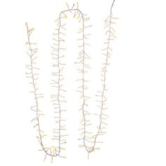 three plants with yellow stems on white background