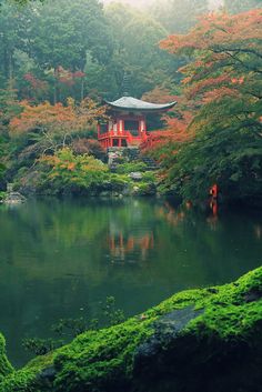 a small pond surrounded by lush green trees