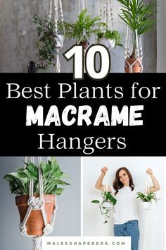 Macrame plant hanger