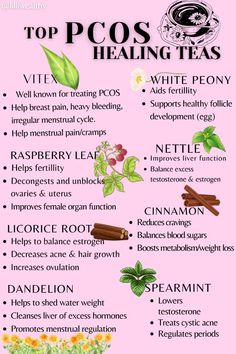 Healing Teas, Love Herbs, Hormone Nutrition, Womb Healing, Fertility Health, Healing Tea, Healthy Hormones, Menstrual Health, Feminine Health