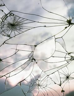 some kind of spider web with water droplets on it