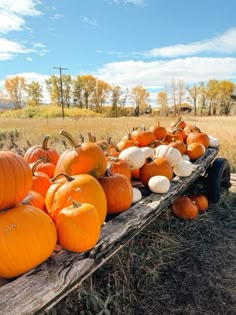 pumpkins and gourds are piled up on a wooden cart in an open field