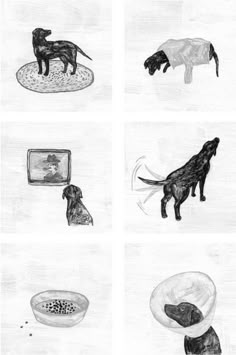 black and white drawing of dogs in different positions