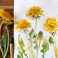 watercolor painting of yellow dandelions on white paper next to paintbrushes