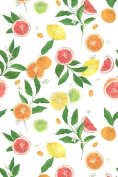 watercolor painting of citrus fruits and leaves