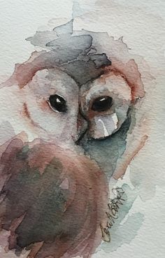 watercolor painting of an owl's face