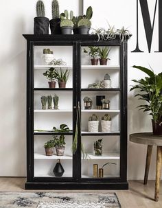 a living room with plants and rugs on the floor in front of a bookcase