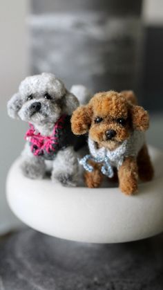 two small poodles sitting on top of a white rock next to each other