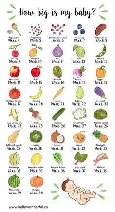 the baby's diet chart for how big is my baby?, with vegetables and fruits