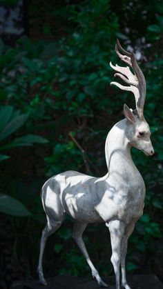 a statue of a white deer with antlers on it's head standing in front of trees