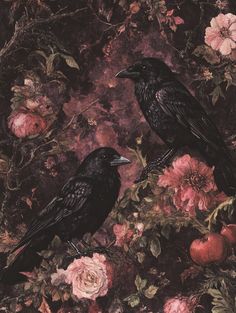 The Morrigan Wallpaper, Ravencore Aesthetic, Dark Cupid Aesthetic, Raven With Flowers, Romantic Goth Wallpaper, Gothic Art Aesthetic, Raven Background, Sylvie Aesthetic, Vanessa Aesthetic