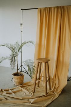 a wooden stool sitting in front of a curtain next to a potted palm tree