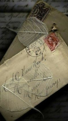 an old envelope with writing on it and a leaf attached to the front, sitting on top of a piece of paper