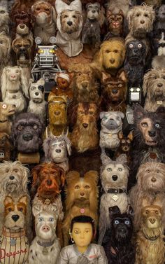 a large group of dog heads are stacked together