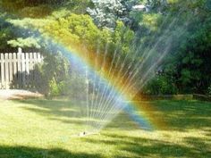 a sprinkler is spraying water in the yard