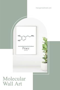 a plant in front of a white wall with the words, mollecular wall art