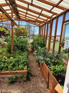 an outdoor greenhouse with lots of plants growing in it