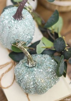 two blue pumpkins sitting on top of a white plate with green leaves and twine