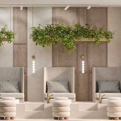 three chairs with plants hanging over them in a room