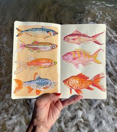 a hand holding an open book with fish on it