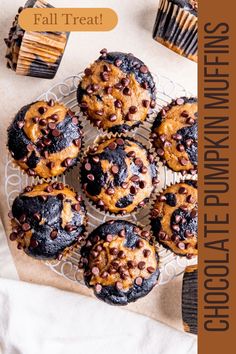 chocolate chip muffins with peanut butter and chocolate chips on top