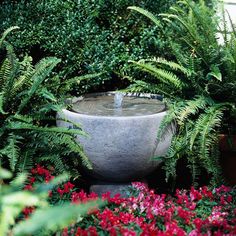 a fountain surrounded by plants and flowers in the middle of a garden filled with lots of greenery