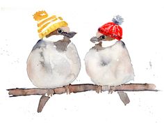 two birds sitting on a branch wearing hats