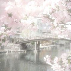 a bridge over a body of water surrounded by pink flowers