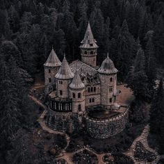 an aerial view of a castle surrounded by trees