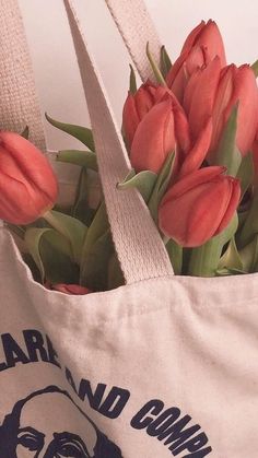 there is a bag with flowers in it