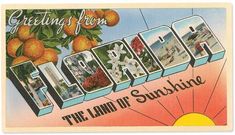 an old postcard with the word florida on it and images of oranges in the background