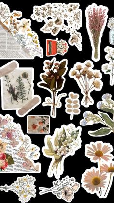 an assortment of stickers with flowers and leaves