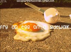 an egg on a sidewalk with the words fry an egg on a sidewalk