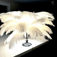 a lamp that has some white feathers on it