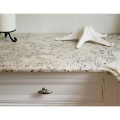 two starfishs are sitting on top of a white countertop in a kitchen