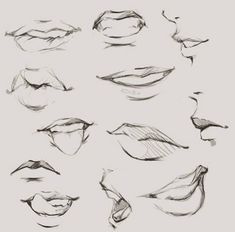 a bunch of different shapes and sizes of lips