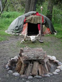 there is a dog that is standing in front of a fire pit with a tent on it