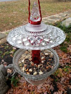 a glass bird feeder filled with lots of birdseed in it's own yard