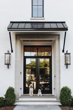 two dogs sitting on the front steps of a white building with black doors and windows